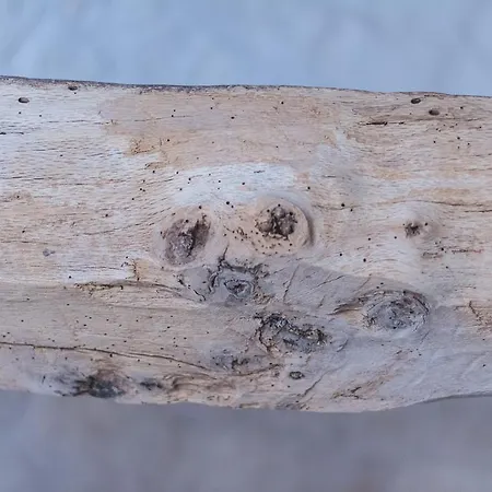 Villa Borgo Sardedda Locorotondo