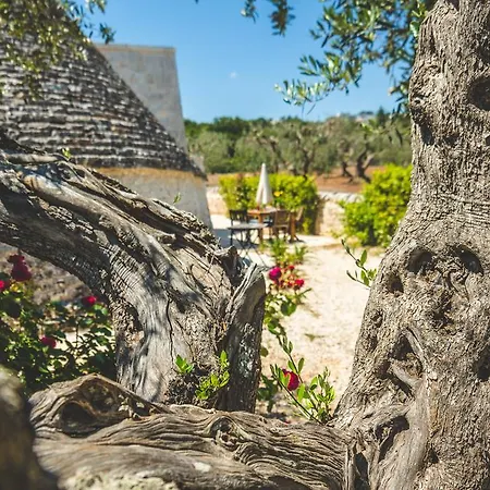 Villa Borgo Sardedda *