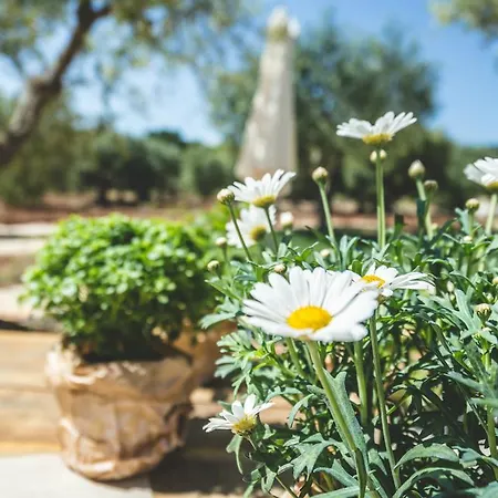 Villa Borgo Sardedda *