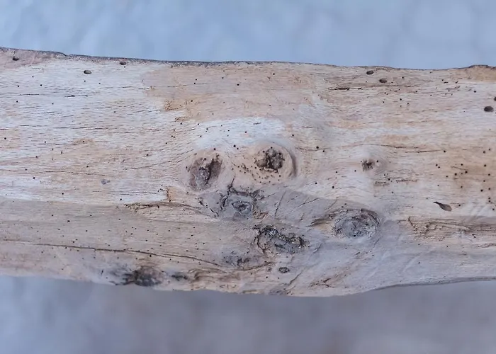 Villa Borgo Sardedda Locorotondo