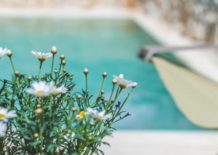 Borgo Sardedda Villa Locorotondo